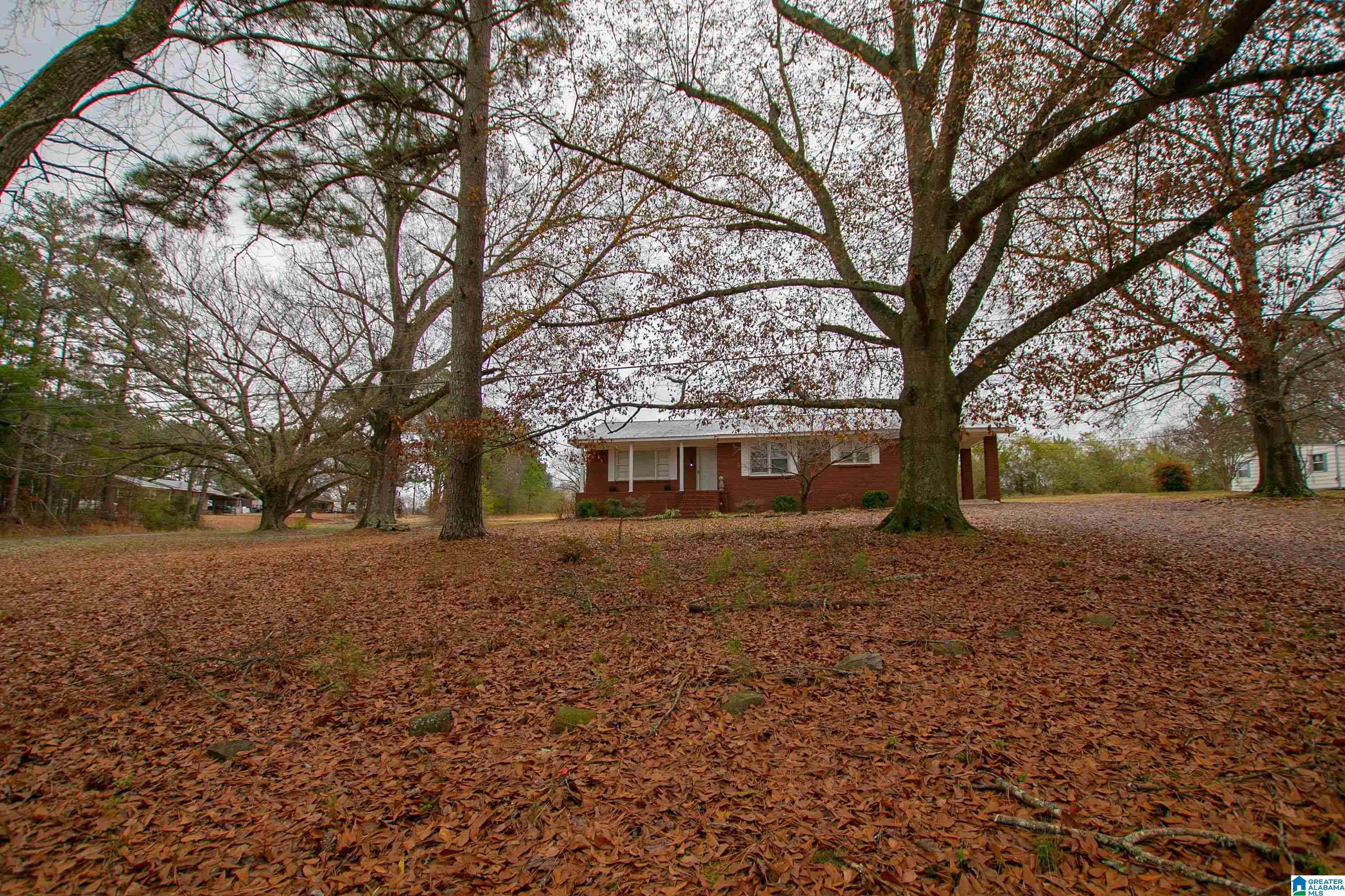 5252 Spunky Hollow Road Remlap, AL 35133 - Photo 56 of 58