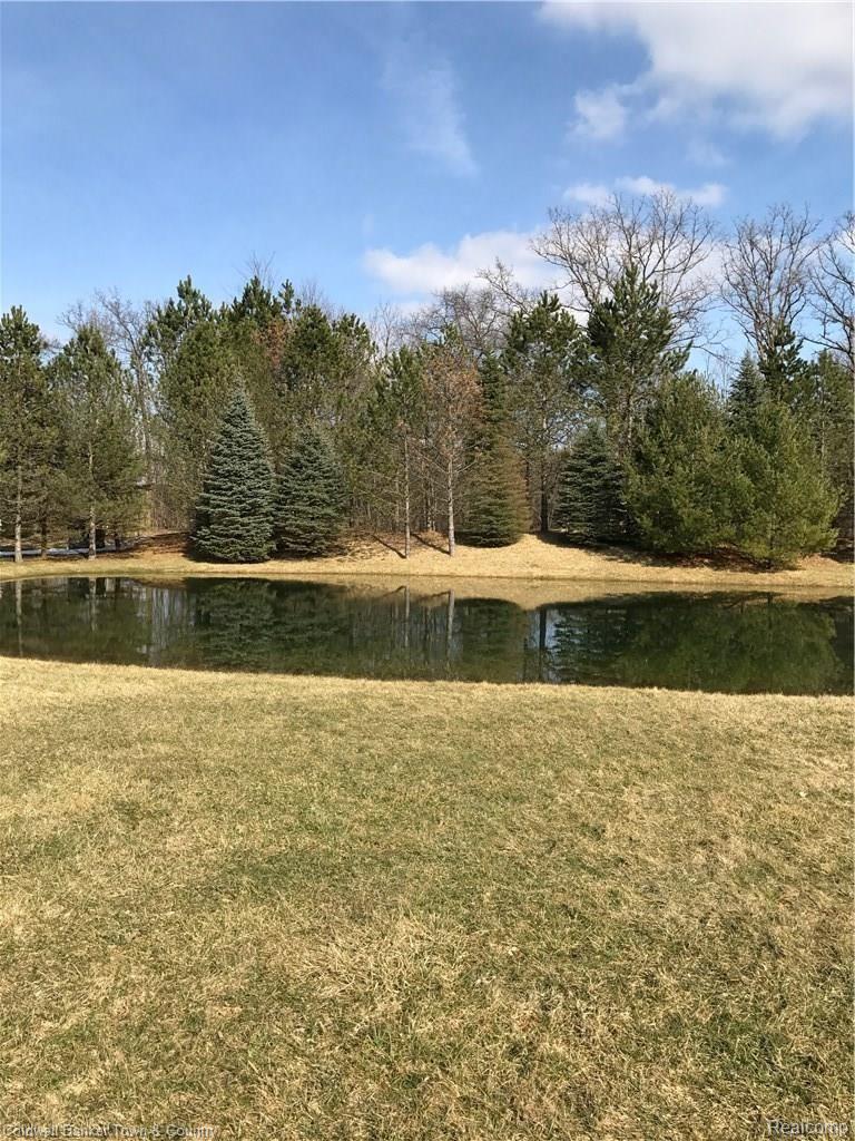 467 Gulley Road Howell, MI 48843 - Photo 31 of 42 CDE4A99A-1D4A-445E-BDE3-E14A3ACAB238.JPG