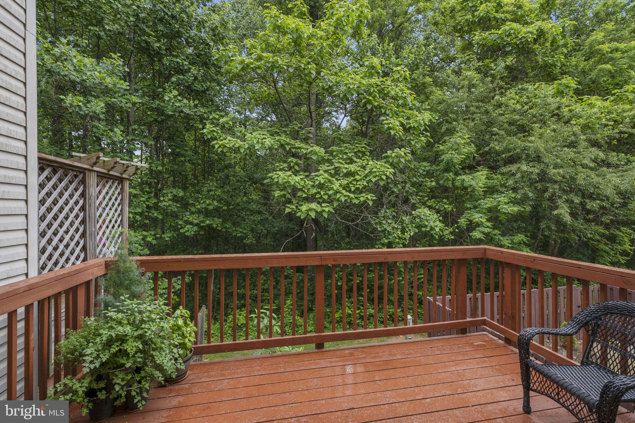 13357 Rushing Water Way Germantown, MD 20874 - Photo 27 of 30 Back deck