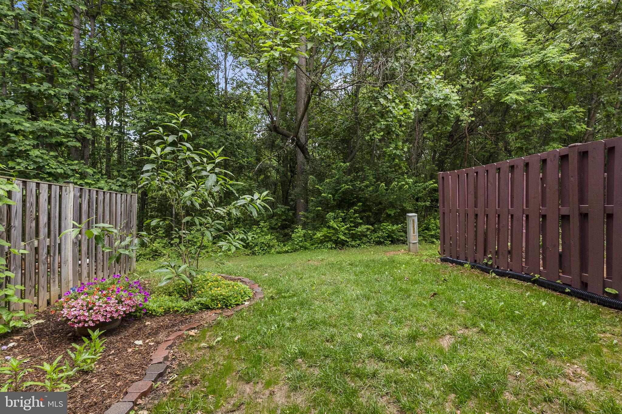 13357 Rushing Water Way Germantown, MD 20874 - Photo 28 of 30 Backyard