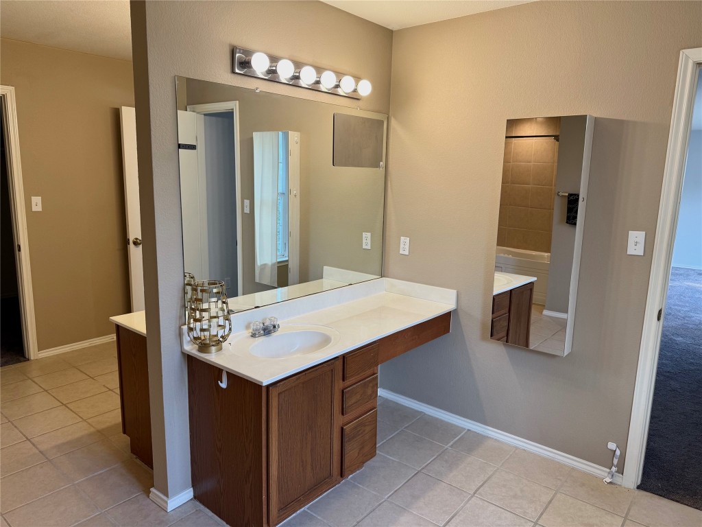 4403 Cisco Valley Drive Round Rock, TX 78664 - Photo 17 of 26 a bathroom with a sink vanity and a mirror