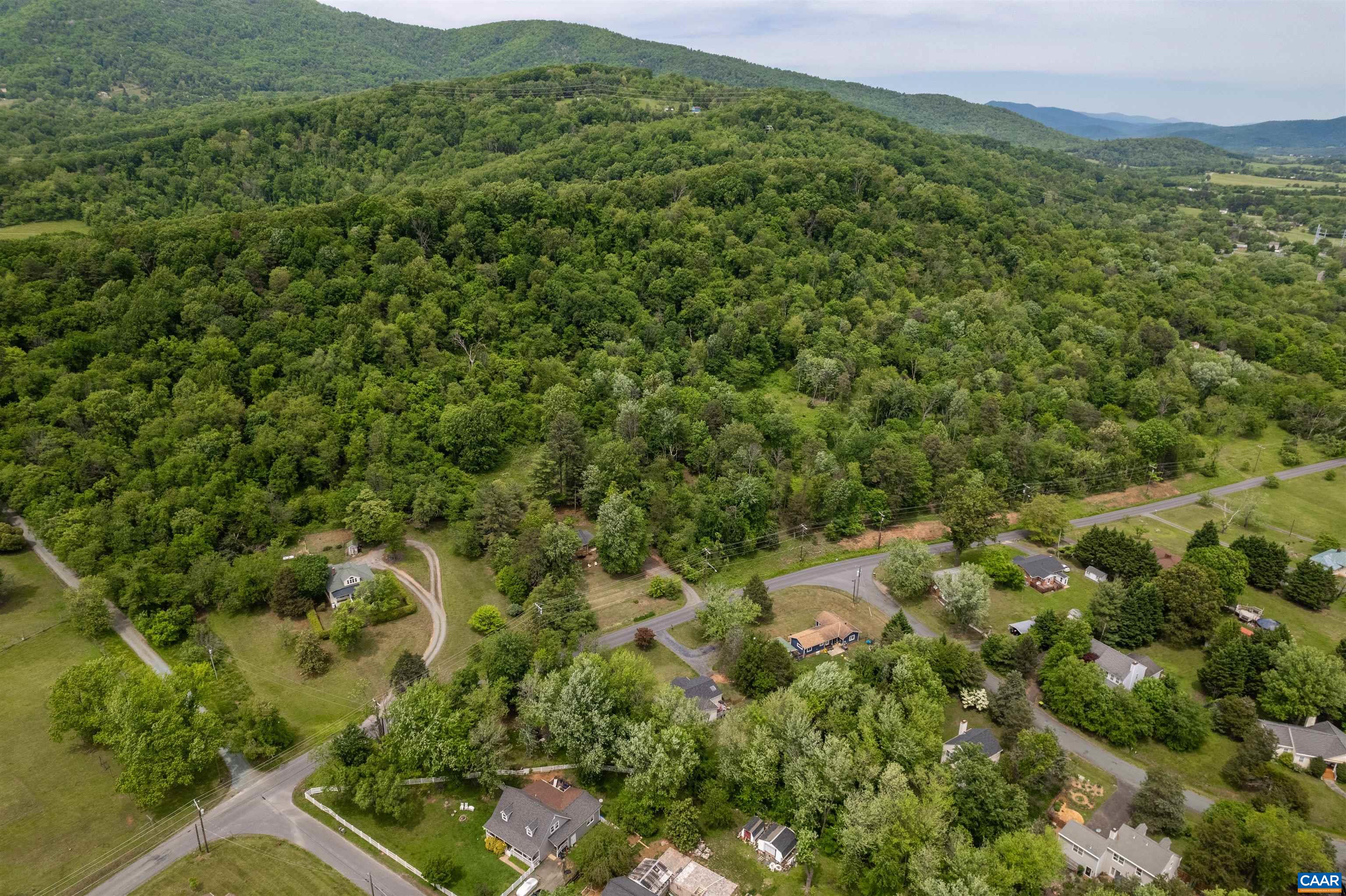 1507 Buck Road Crozet, VA 22932 - Photo 32 of 33 a view of a lush green forest with trees in the background