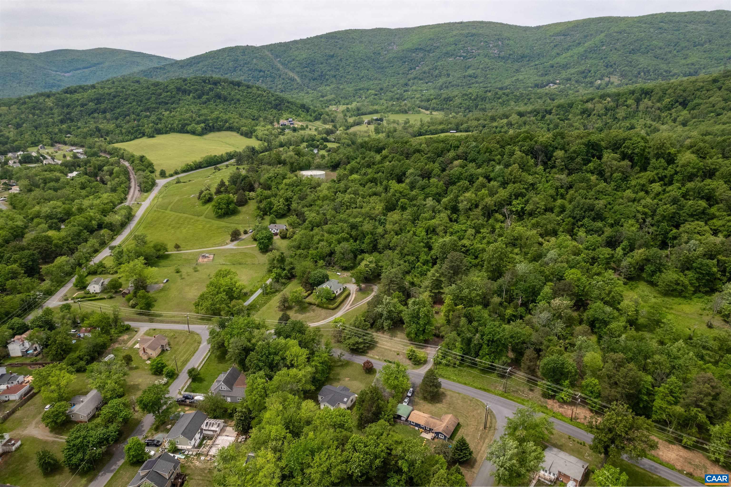 1507 Buck Road Crozet, VA 22932 - Photo 33 of 33 a view of a forest with a street