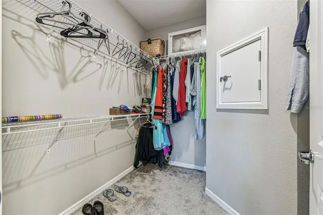 a view of a big yard with plants and a large tree