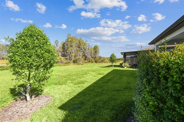 $2,795 | 19437 Ship Wheel Way, Land O Lakes, FL 34638