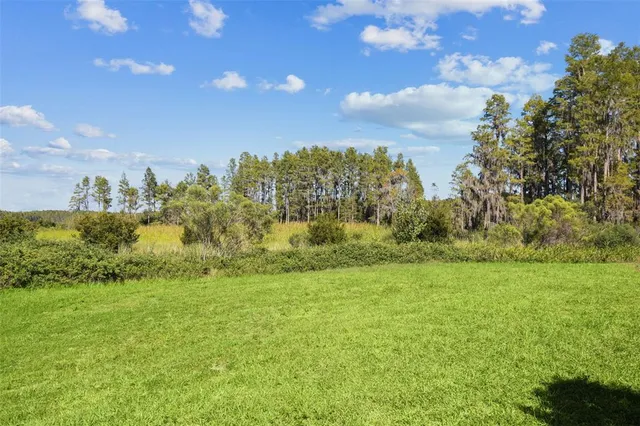 $2,795 | 19437 Ship Wheel Way, Land O Lakes, FL 34638