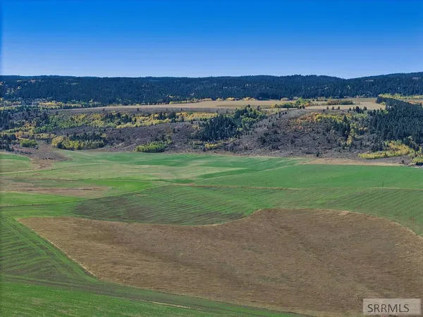 $105,000 | 8900 Appaloosa Ridge Trail, Tetonia, ID 83452