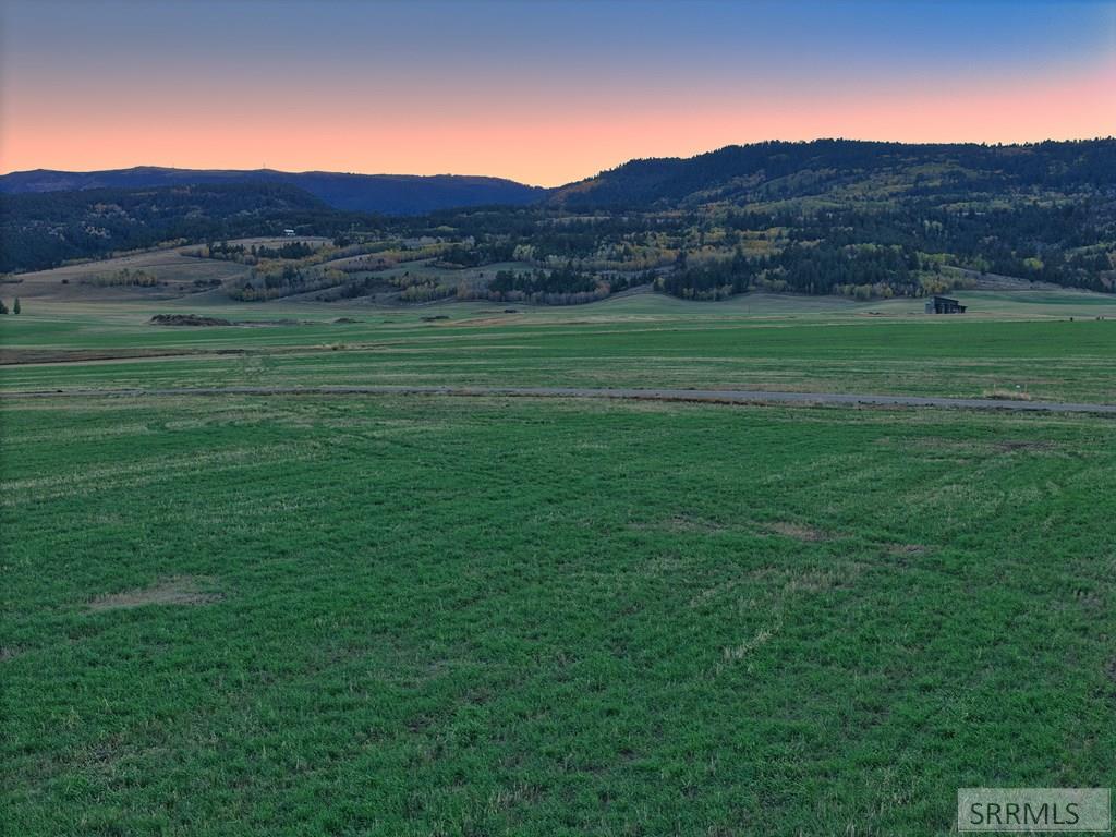 8900 Appaloosa Ridge Trail Tetonia, ID 83452 - Photo 6 of 17