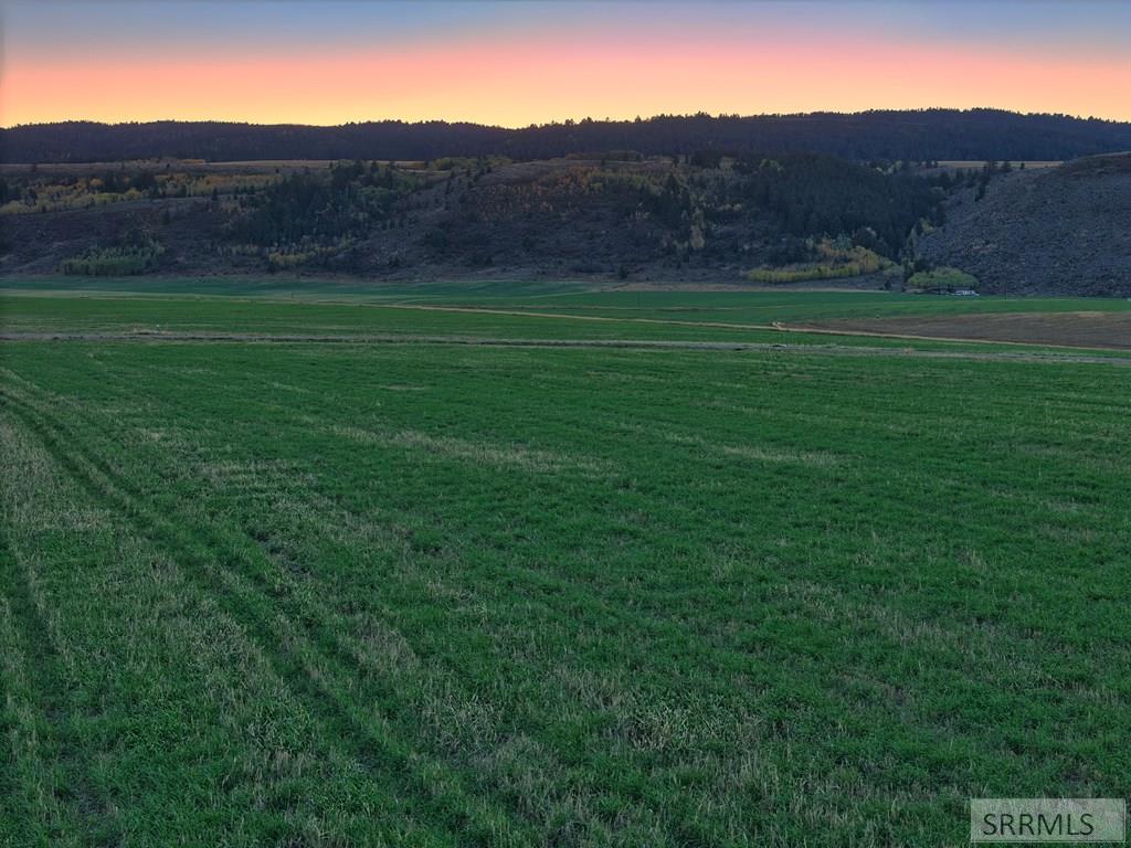 8900 Appaloosa Ridge Trail Tetonia, ID 83452 - Photo 7 of 17