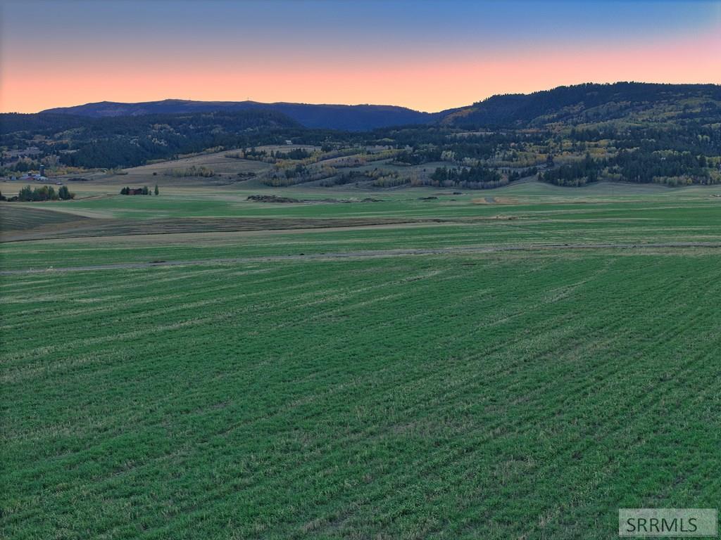 8900 Appaloosa Ridge Trail Tetonia, ID 83452 - Photo 8 of 17