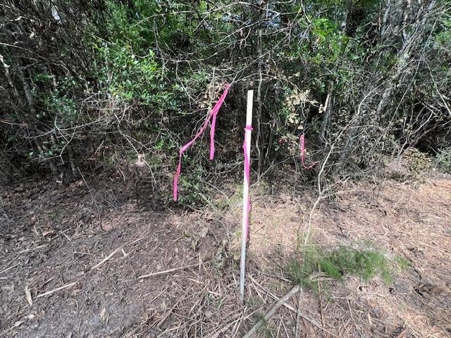 Tba Laird Road Florala, AL 36442 - Photo 15 of 20 Gallery Image 15