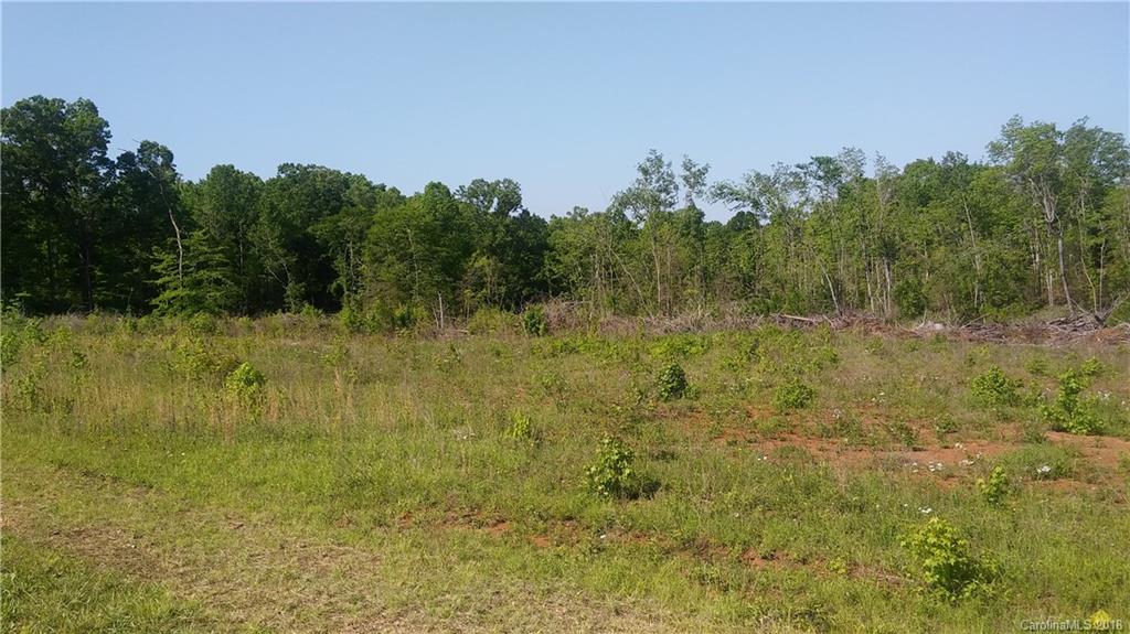 1221 Mollys Backbone Road Catawba, NC 28609 - Photo 2 of 9 Gallery Image 2