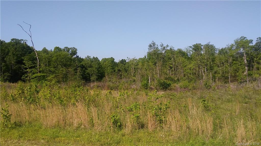 1221 Mollys Backbone Road Catawba, NC 28609 - Photo 6 of 9 Gallery Image 6
