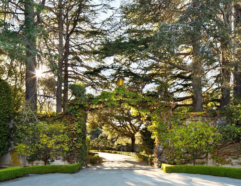 891 Crystal Springs Road Hillsborough, CA 94010 - Photo 2 of 20 a view of a tree in front of a building