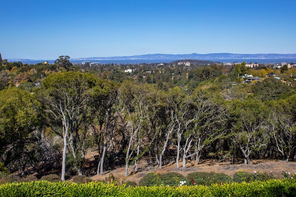 891 Crystal Springs Road Hillsborough, CA 94010 - Photo 15 of 20 a view of an outdoor space and a yard