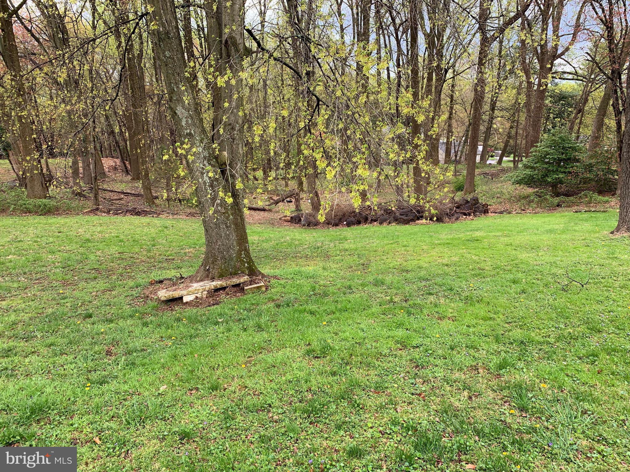 116 Bonifant Road Silver Spring, MD 20905 - Photo 73 of 75 Gallery Image 73
