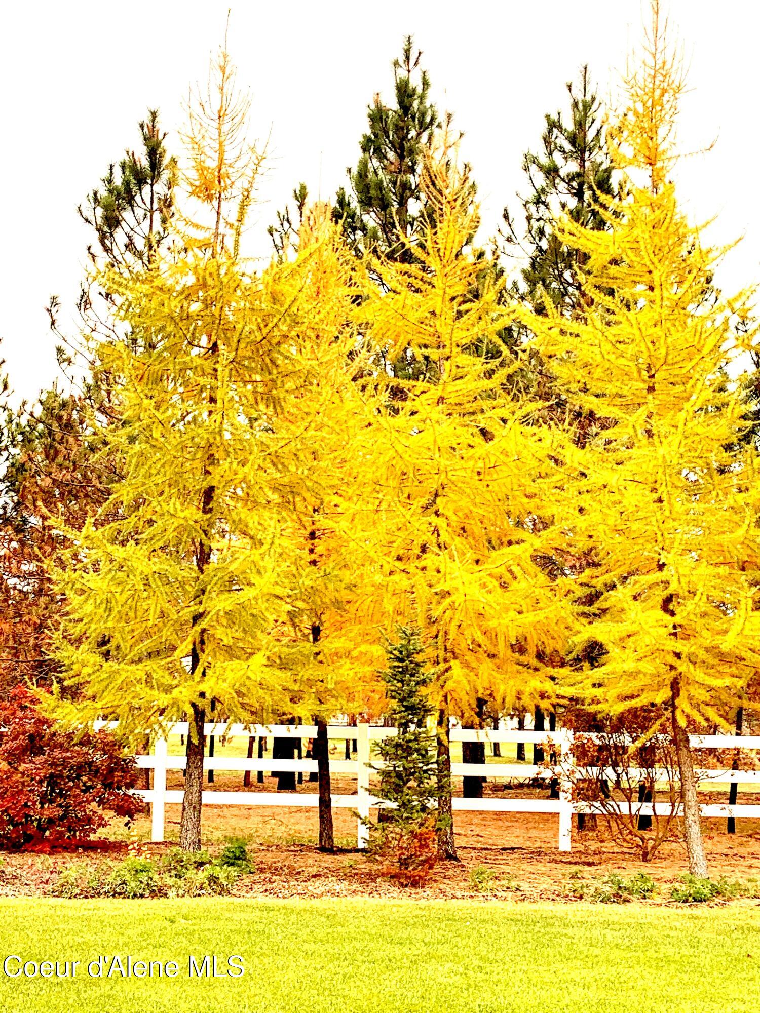 2019 East Brunner Road Athol, ID 83801 - Photo 4 of 72 IMG_E0361