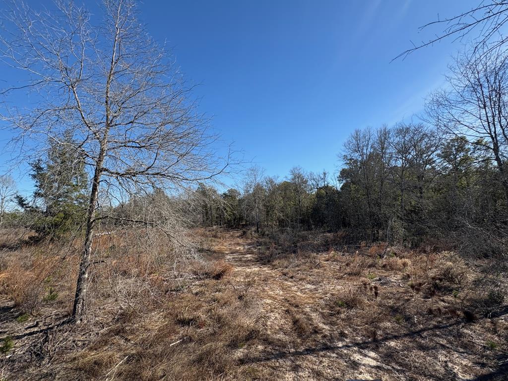 87 Samson Al Samson, AL 36477 - Photo 22 of 33