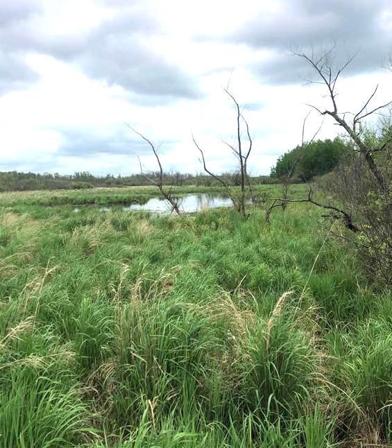 31603 Brook Park Road Brook Park, MN 55007 - Photo 19 of 38