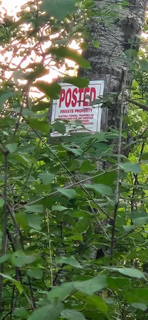 $290,000 | 31603 Brook Park Road, Brook Park, MN 55007