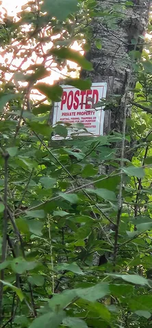 $290,000 | 31603 Brook Park Road, Brook Park, MN 55007