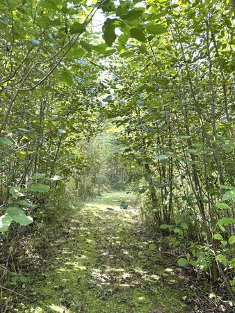 $290,000 | 31603 Brook Park Road, Brook Park, MN 55007