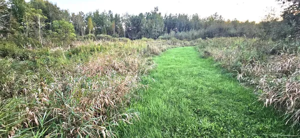 $290,000 | 31603 Brook Park Road, Brook Park, MN 55007