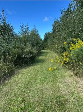 $290,000 | 31603 Brook Park Road, Brook Park, MN 55007