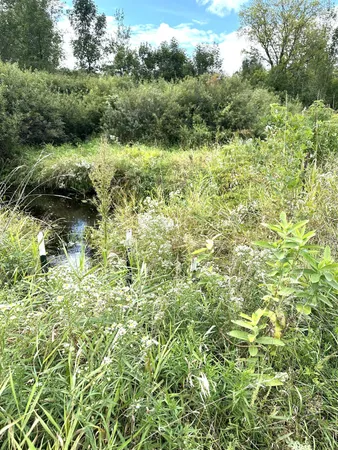 $290,000 | 31603 Brook Park Road, Brook Park, MN 55007