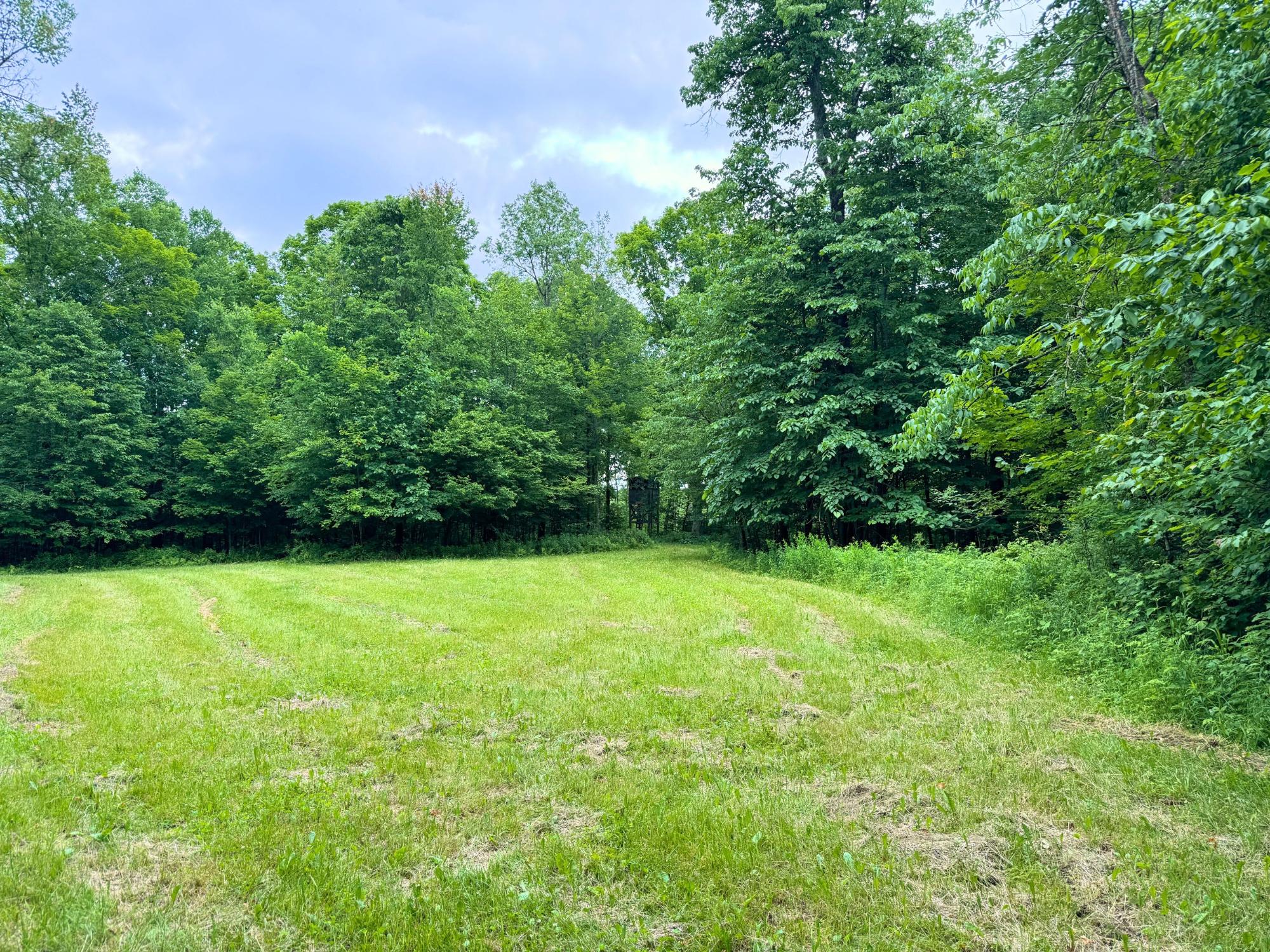N2410 Kienbaum Road, Unit 2410 Merrill, WI 54452 - Photo 18 of 38 Gallery Image 18