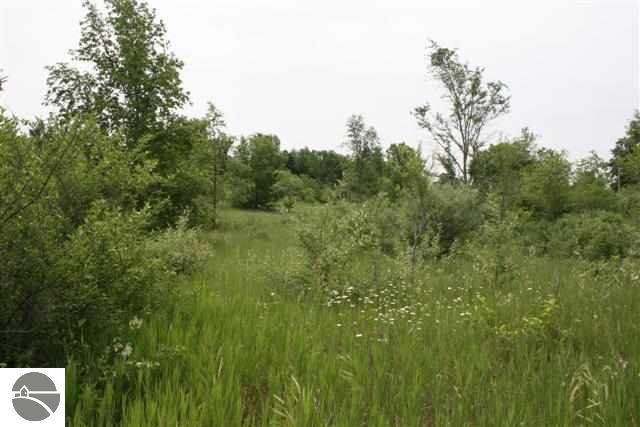 . South Maple City Road Maple City, MI 49664 - Photo 22 of 25 1732368-21.JPG