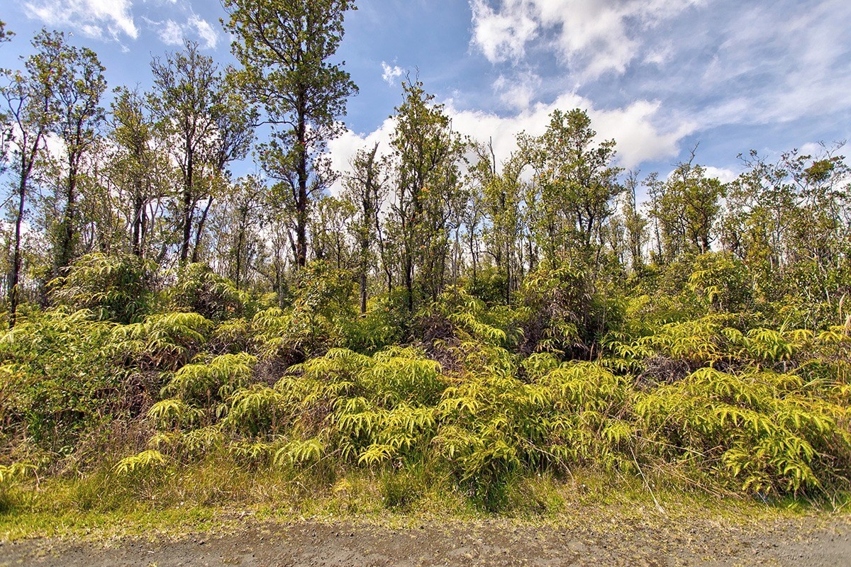56 Ala Naulani Road Mountain View, HI 96771 - Photo 2 of 8