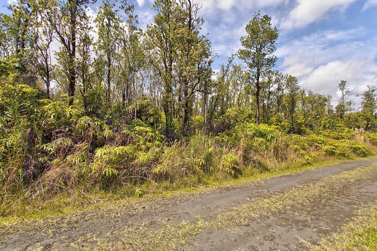 56 Ala Naulani Road Mountain View, HI 96771 - Photo 3 of 8