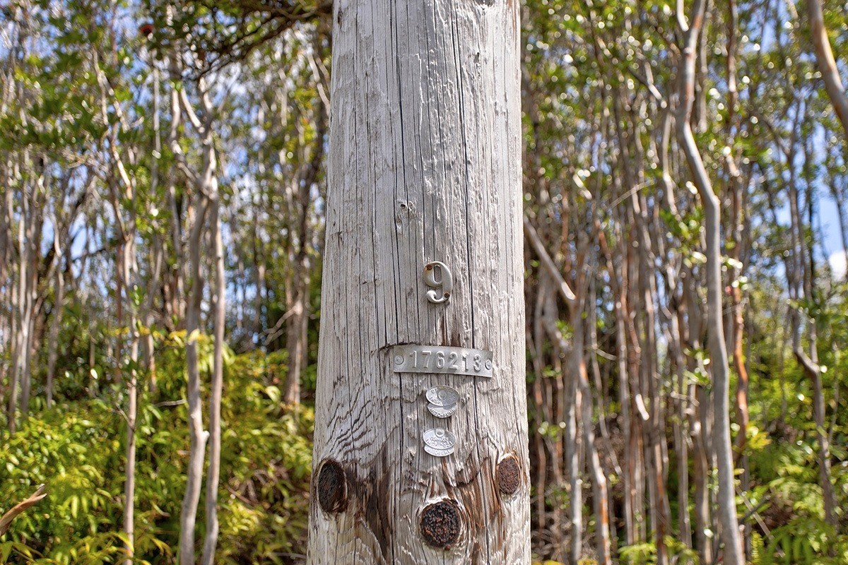 56 Ala Naulani Road Mountain View, HI 96771 - Photo 4 of 8