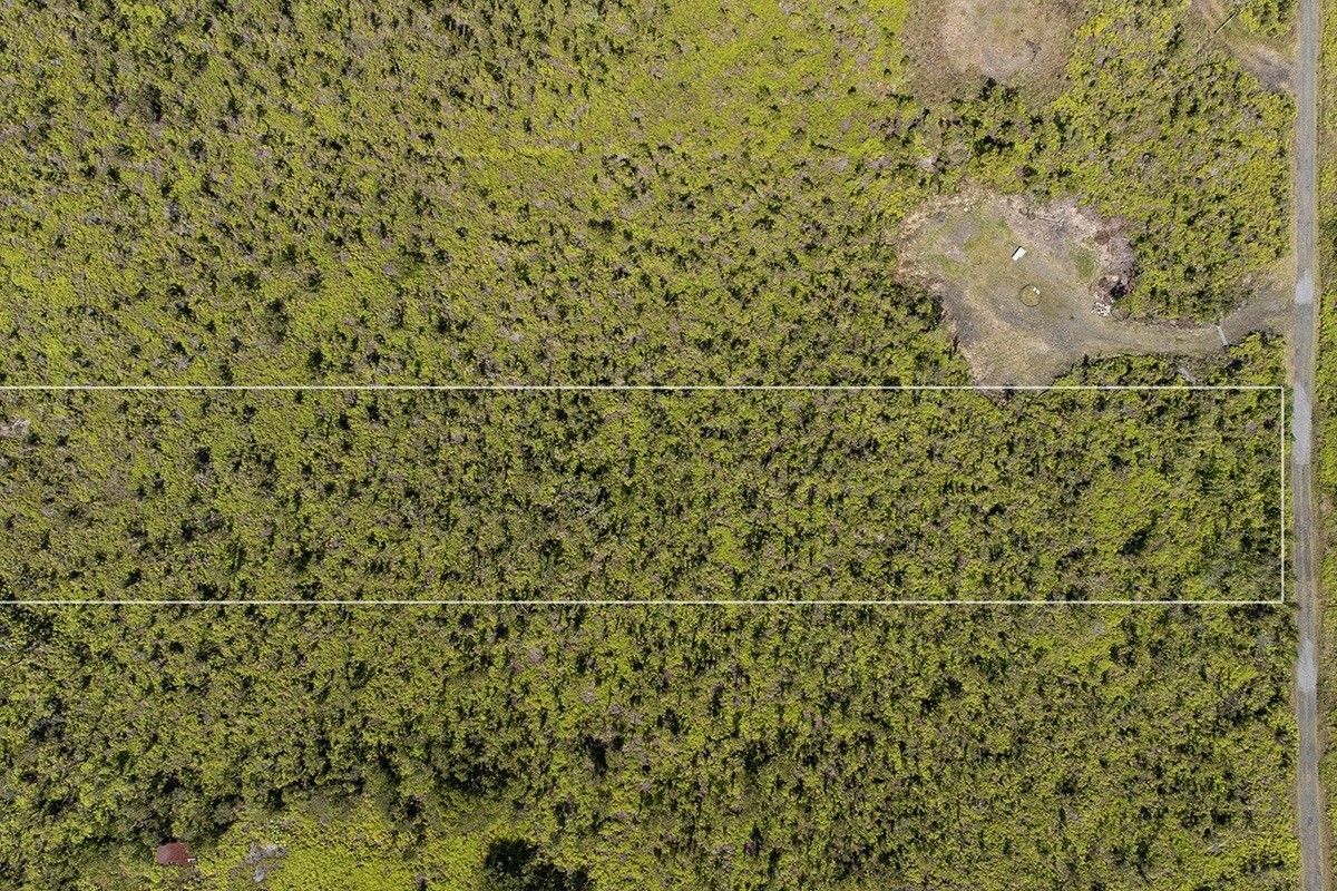 56 Ala Naulani Road Mountain View, HI 96771 - Photo 5 of 8