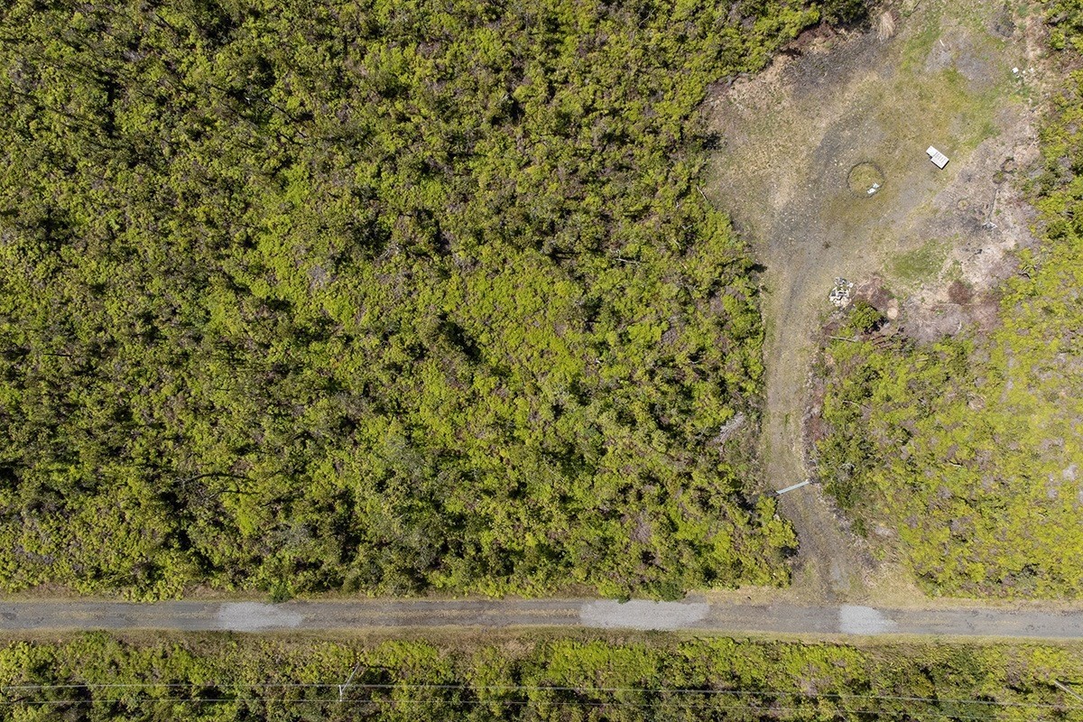 56 Ala Naulani Road Mountain View, HI 96771 - Photo 6 of 8