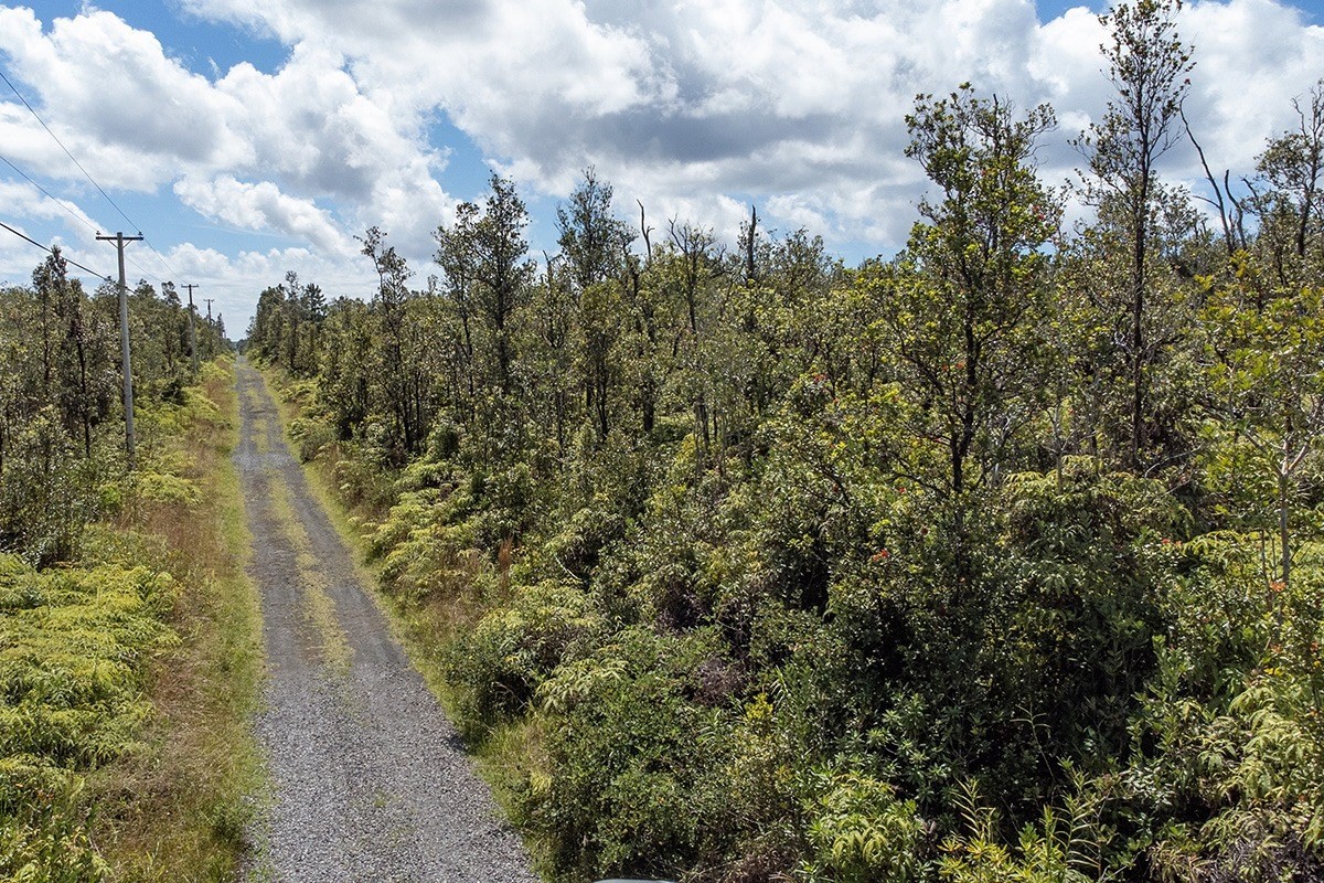 56 Ala Naulani Road Mountain View, HI 96771 - Photo 8 of 8