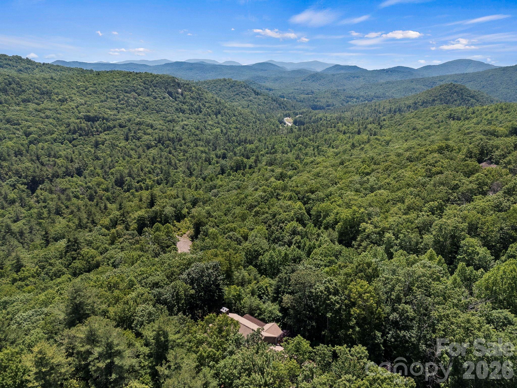 426 Eagle Ridge Road Zirconia, NC 28790 - Photo 2 of 48