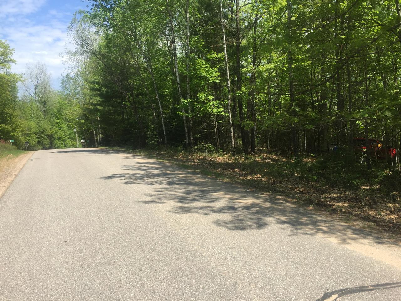 Lot 6 Fish Lake Lane Rhinelander, WI 54501 - Photo 2 of 10 Gallery Image 2