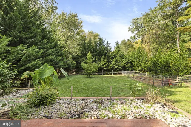 a view of a garden with a bench