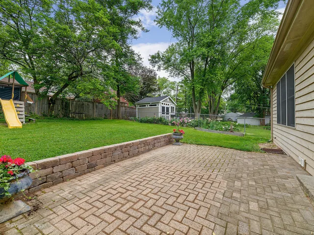 a view of a park with large trees