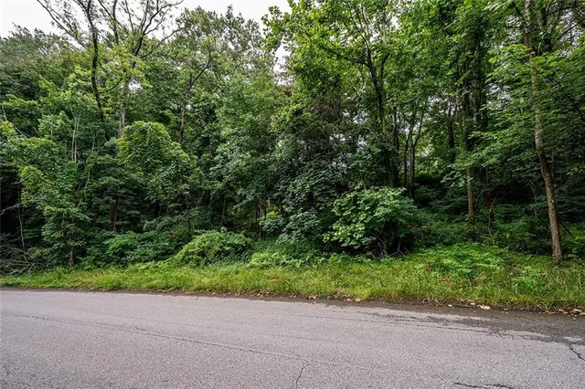 a view of a yard with plants and trees
