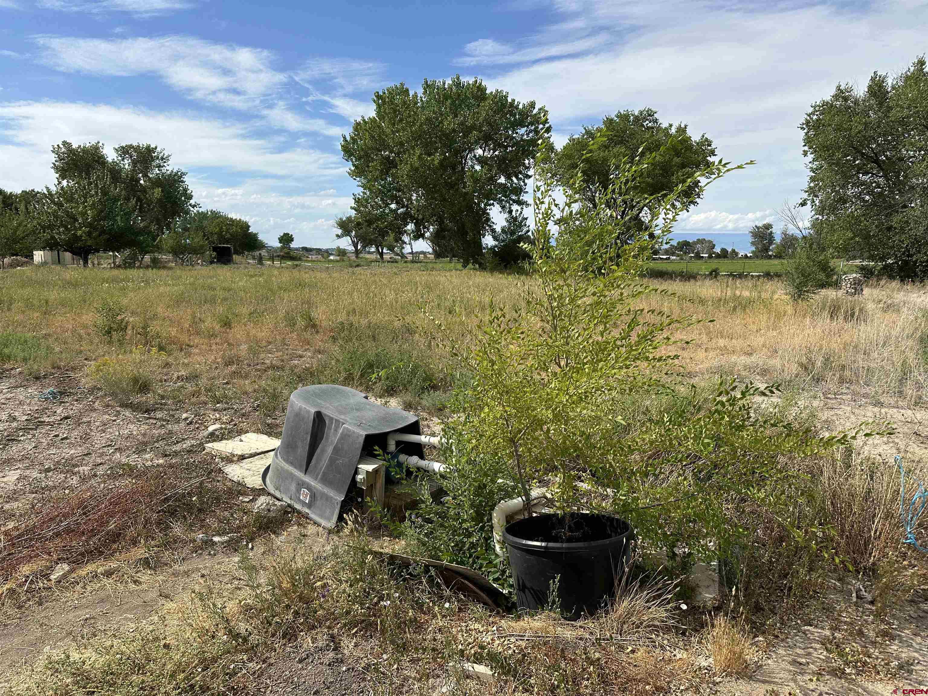 11410 6250th Road Montrose, CO 81401 - Photo 28 of 29