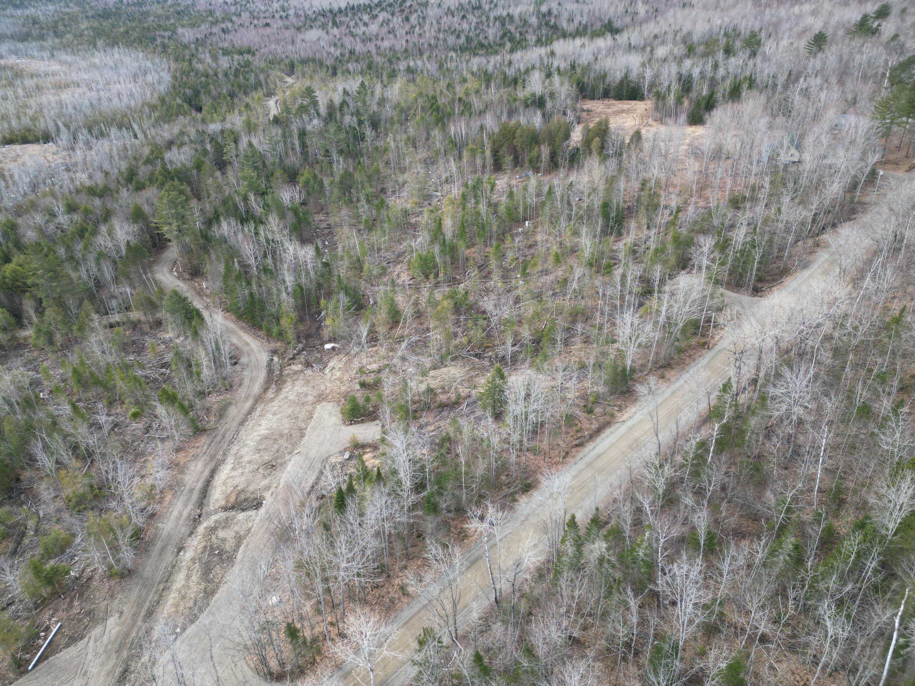Lot 3 Arab Road Lee, ME 04455 - Photo 10 of 14 DJI_0894