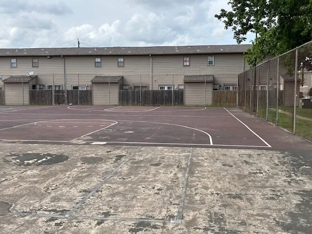 a view of a backyard