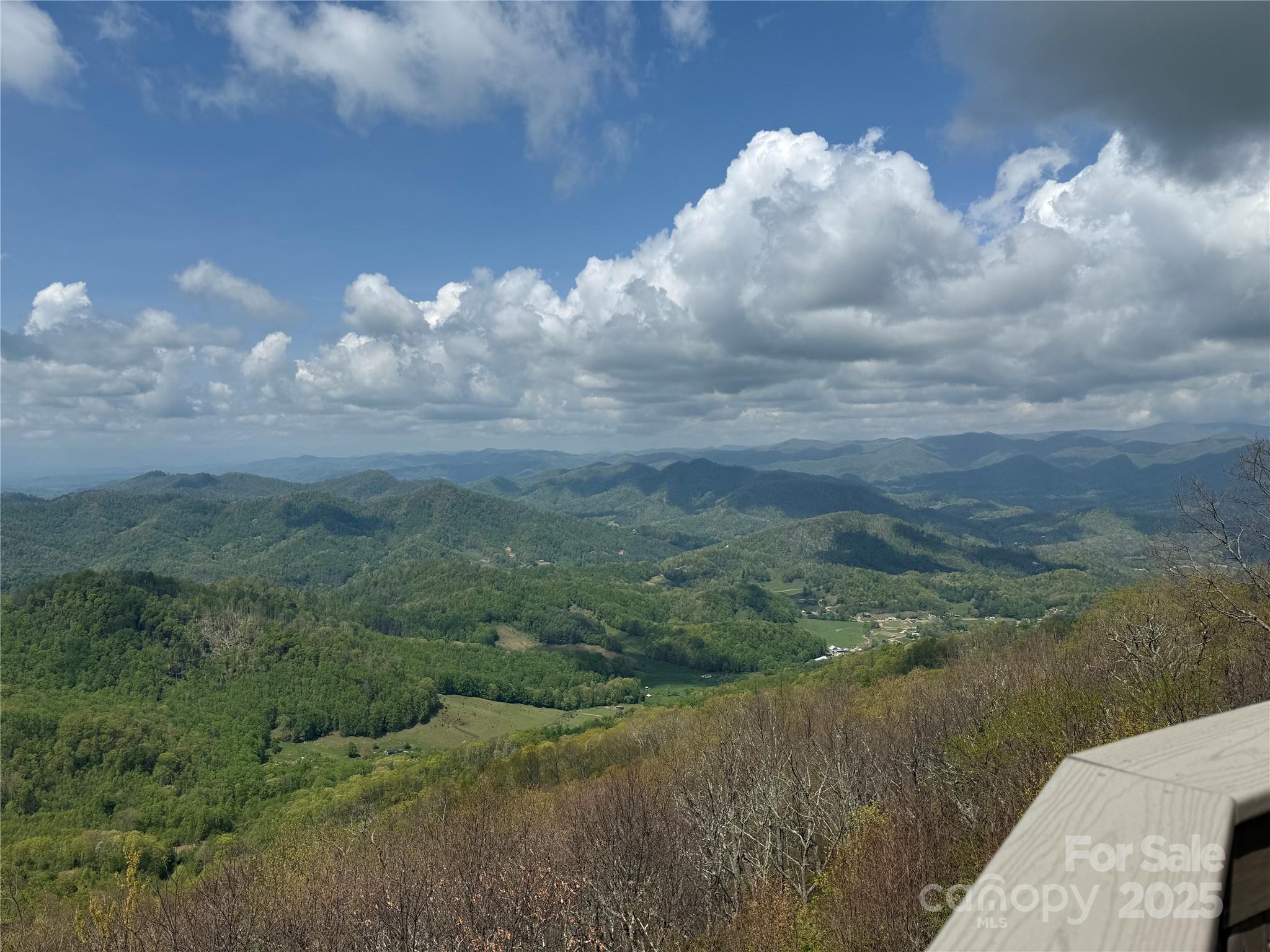a view of a lake in middle of forest