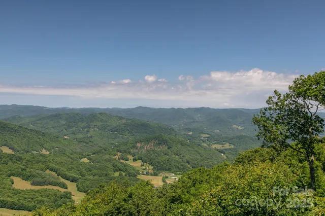 a view of a city with lush green forest