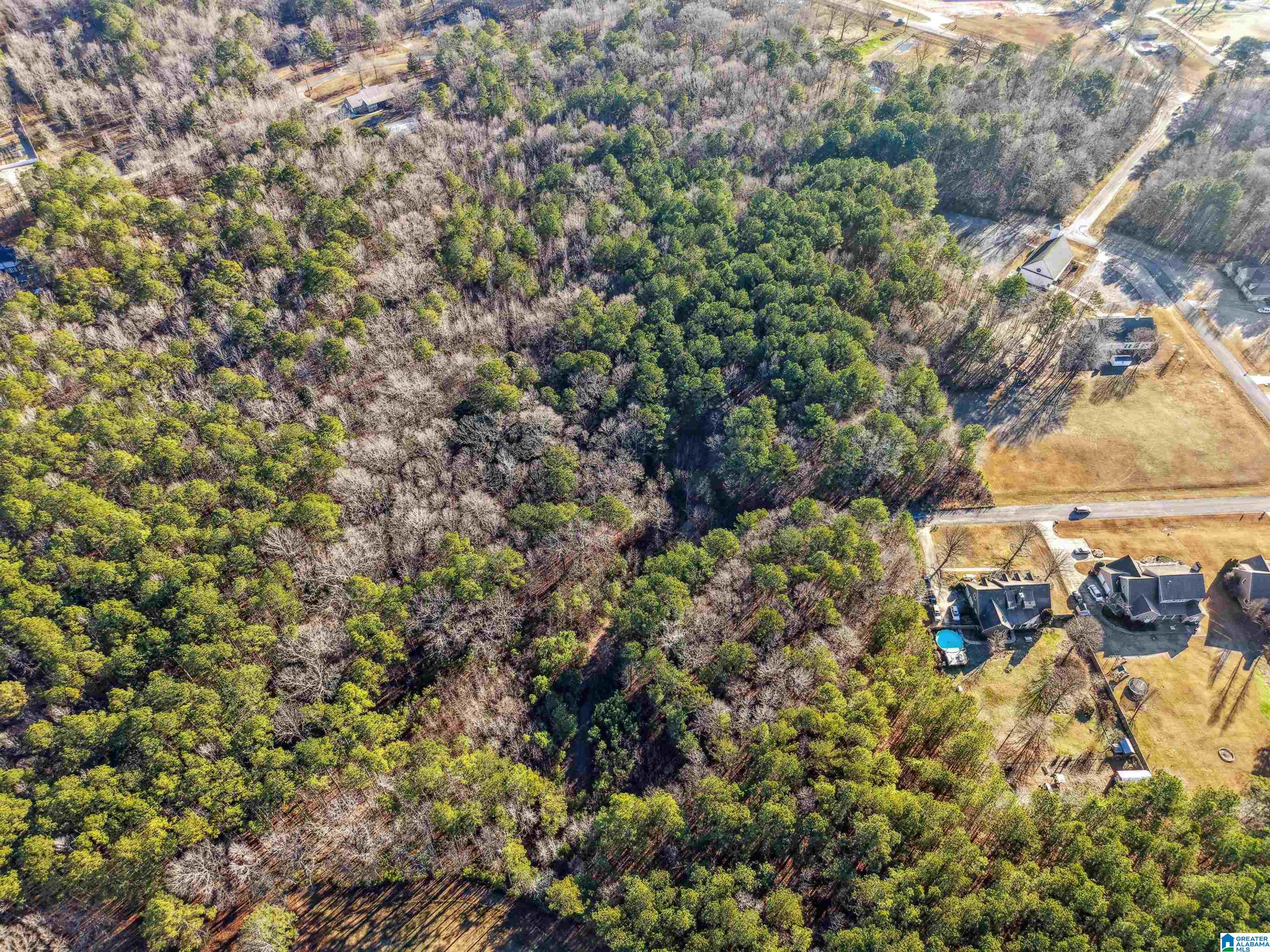 0 Branch Cove, Unit PHASE 2 Odenville, AL 35120 - Photo 20 of 32