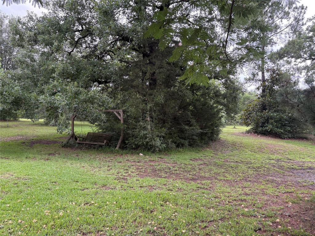 5152 Richardson Road East Livingston, TX 77351 - Photo 3 of 13 a view of a trees in a yard