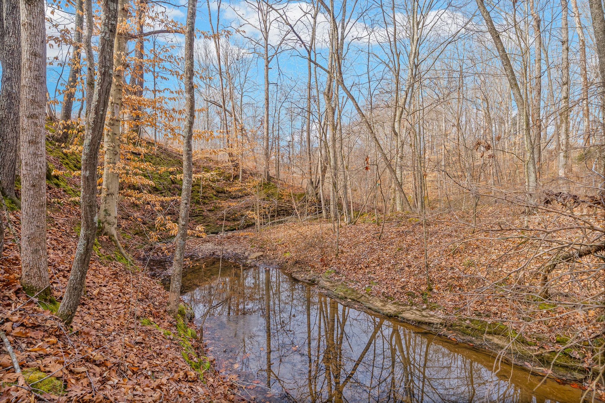 1160 Jonathan Lane Springfield, TN 37172 - Photo 25 of 26 a view of jacuzzi with trees in front of it